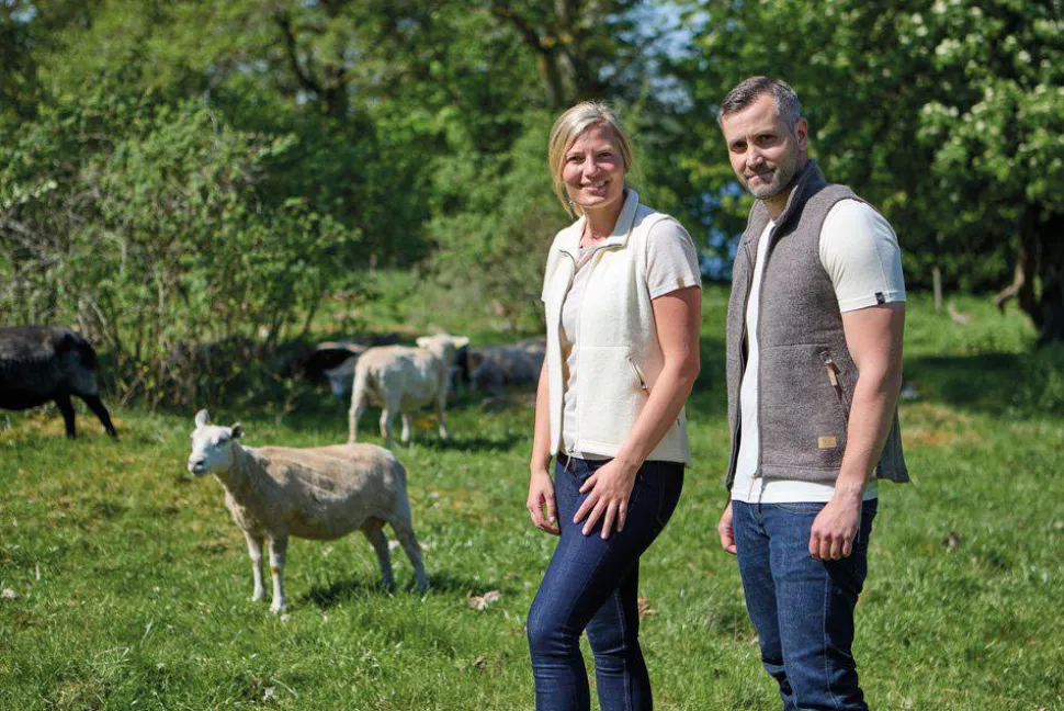 NLS BARLEY VEST, 100% OFÄRGAD ULL — NUTMEG