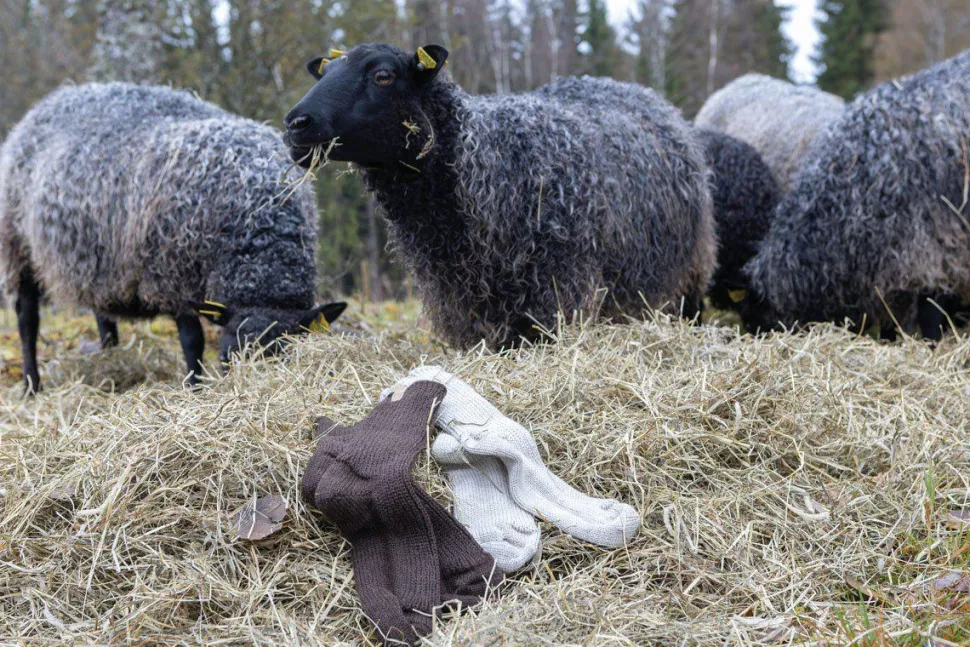 NLS RAG SOCK, 100% OFÄRGAD ULL — NUTMEG